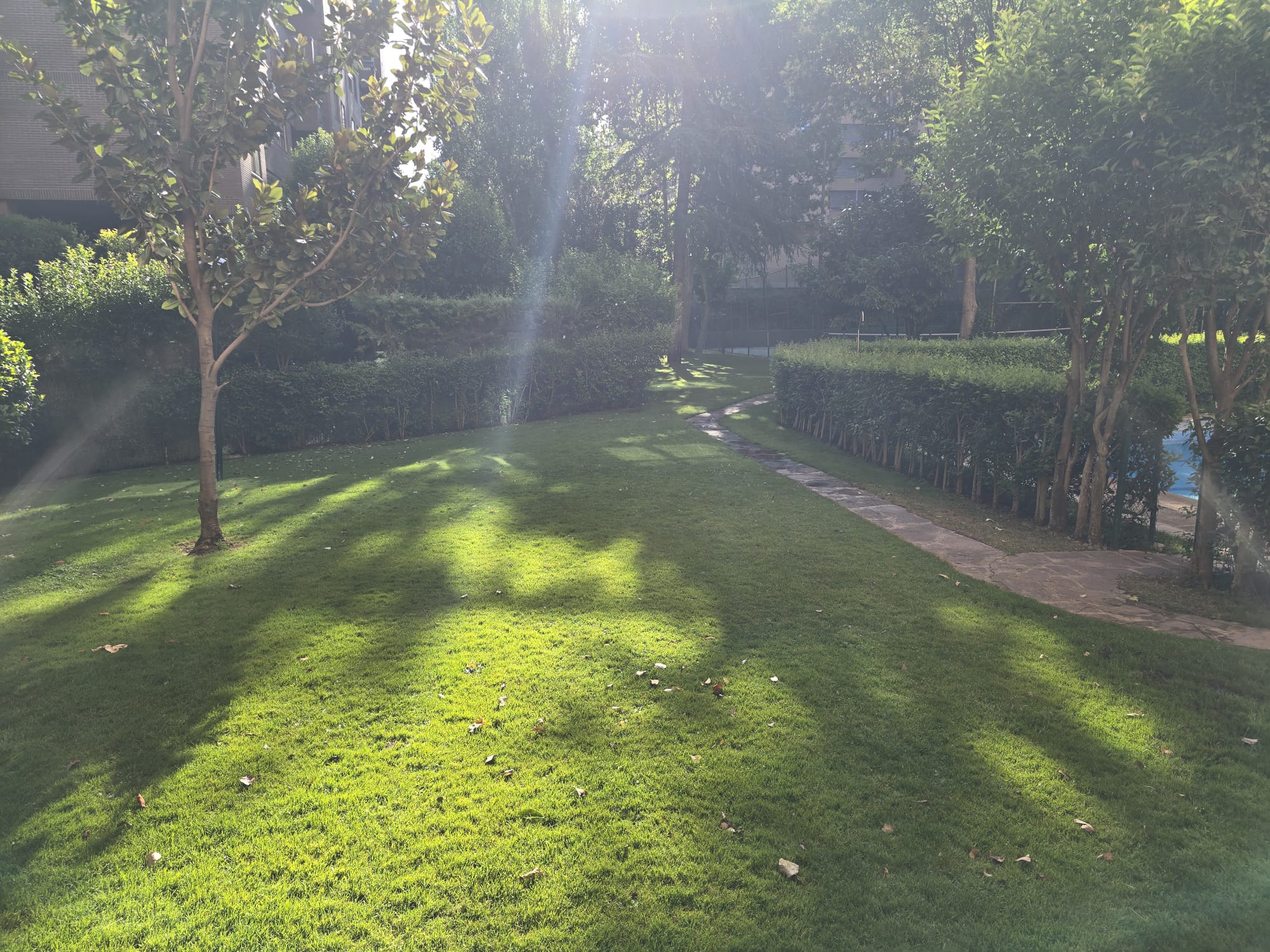 jardin3
